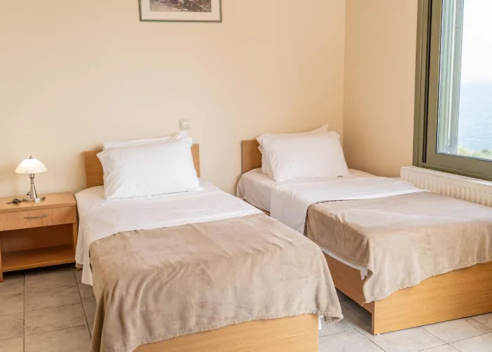 Dinos With Swimming Pool *